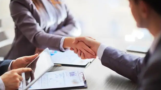 CORPORATE GOVERNANCE SERVICES